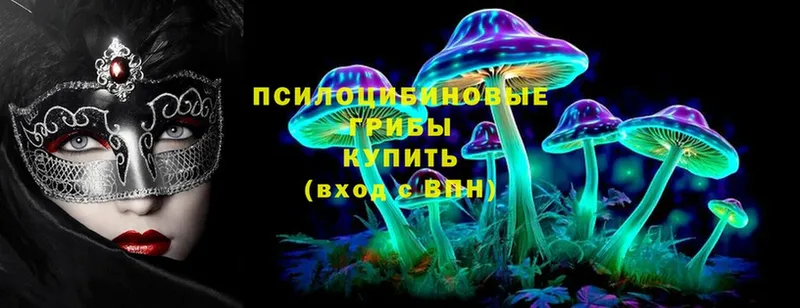 Псилоцибиновые грибы MAGIC MUSHROOMS  даркнет сайт  Любань 